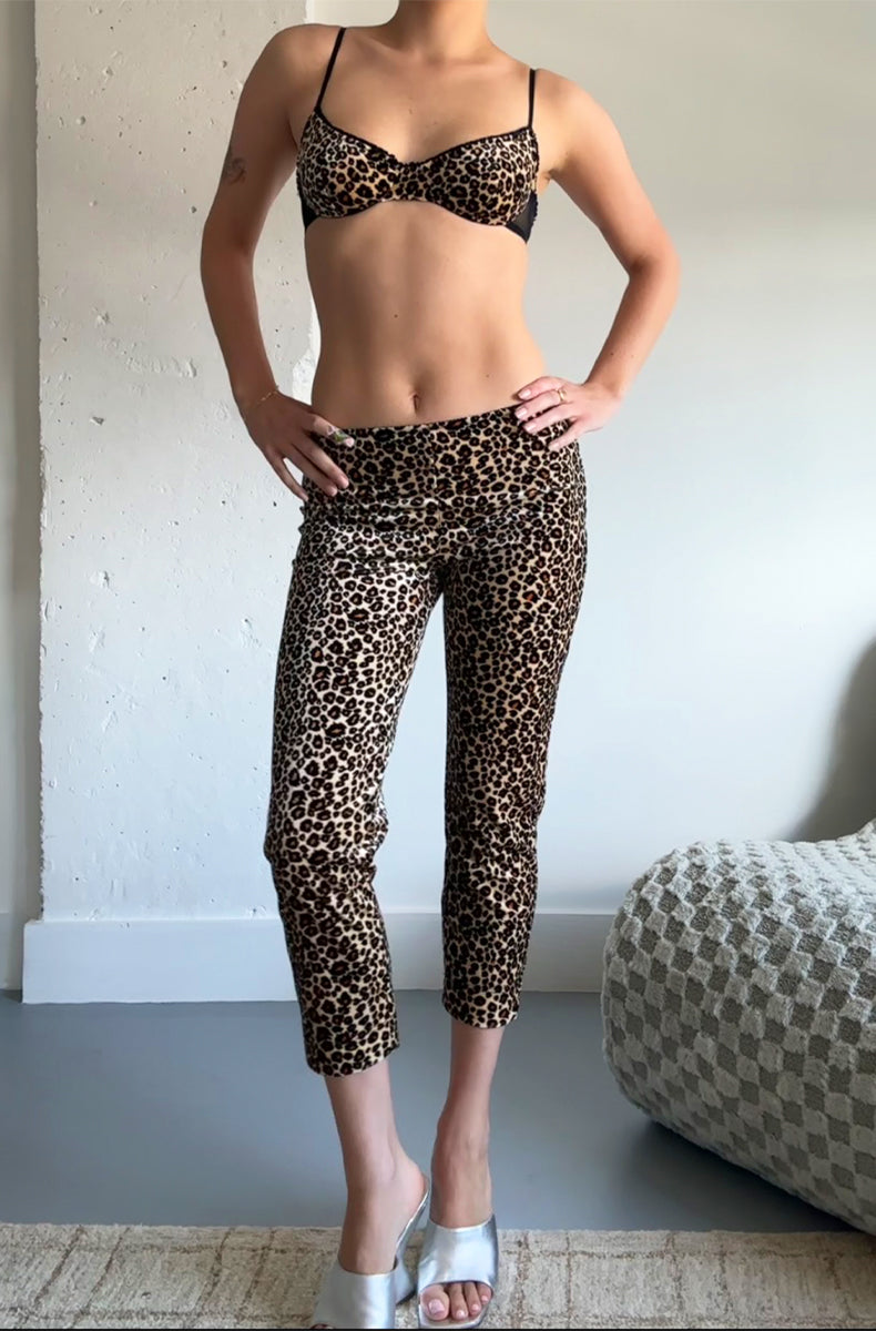 Cat Nap Underwire Bra