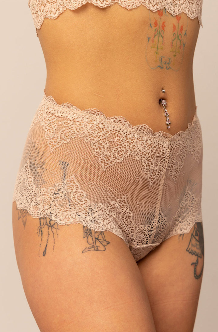 So Fine Lace Cheeky Brief